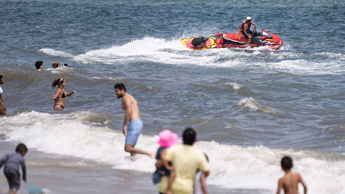 SHARK attacks beachgoer during July 4th celebrations