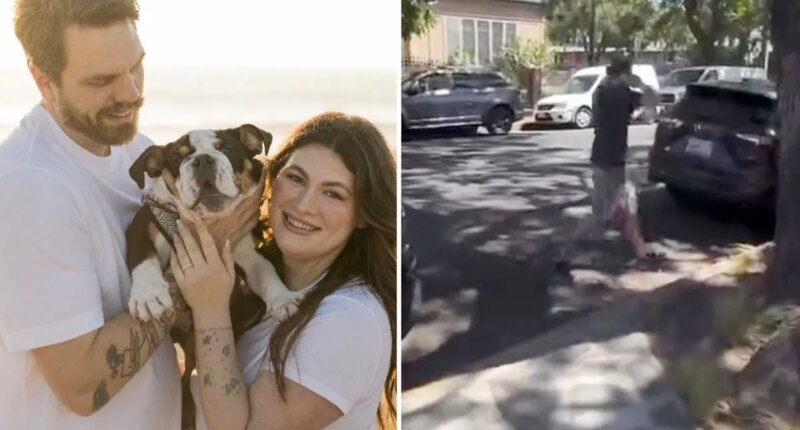 Santa Barbara's Camp Canine allegedly hands California couple their beloved puppy back in a tub