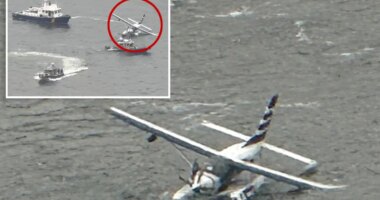Seaplane carrying 8 passengers crashes into NYC's East River