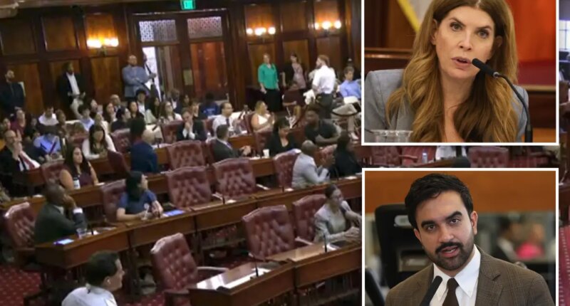 Shameless NYC Council members give themselves a big fat 18% pay hike -- on first day on the job