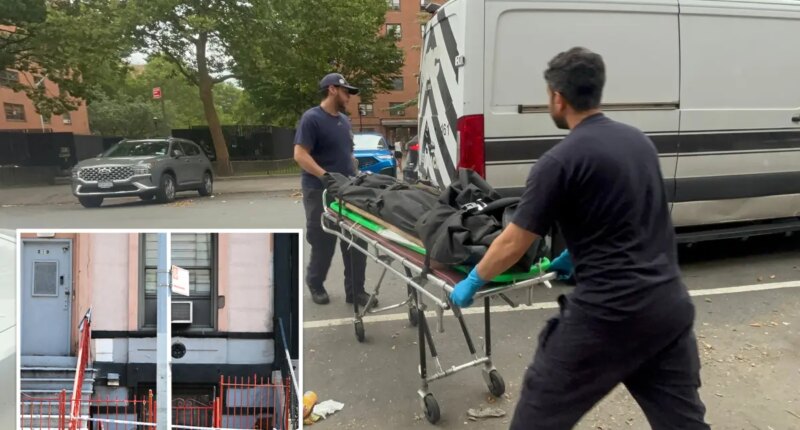 Skeletal remains discovered in vacant NYC brownstone
