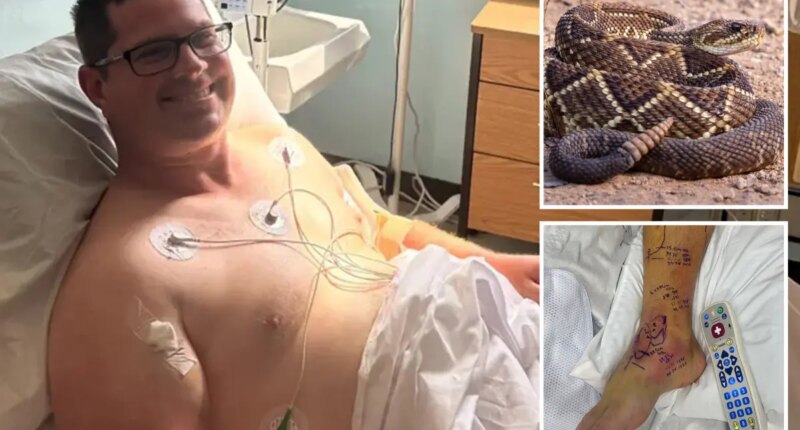 Snakebite victim who sucked up hospital's entire supply of anti-venom hit with staggering medical bill