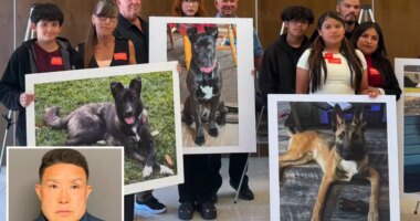 SoCal Dog trainer learns fate for trapping animals in small cages, leaving them to die
