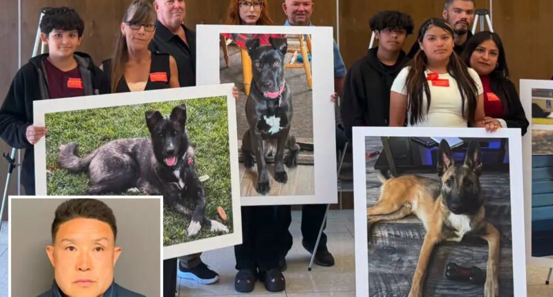 SoCal Dog trainer learns fate for trapping animals in small cages, leaving them to die