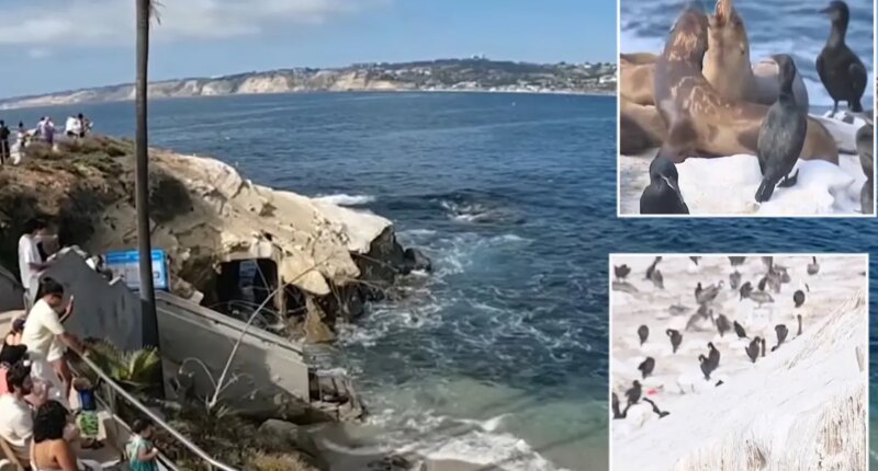 SoCal coastal attraction sparks controversy with plans to fix unbearable stench