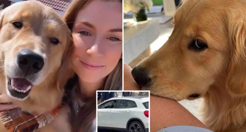 SoCal woman on Mexican beach vacation with her beloved dog shot in attempted carjacking