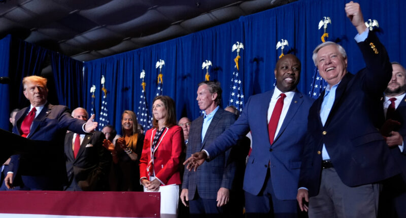 South Carolina's governor should appoint Lindsey Graham's sister, Darline Graham Nordone, to finish his term, Trump says