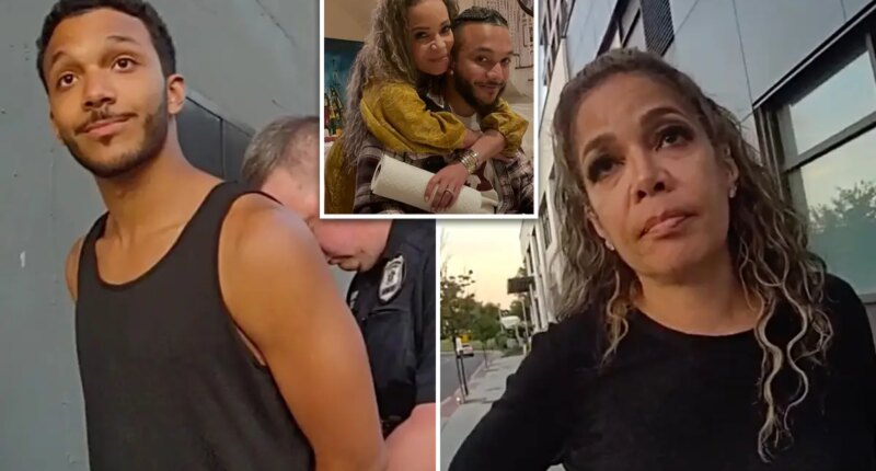 Sunny Hostin was on phone with son when he was caught trespassing on Metro-North tracks