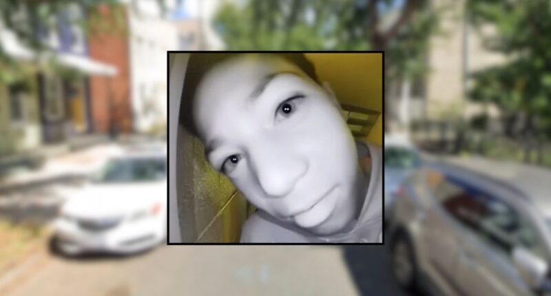 Suspect lay in wait for boy, 13, before killing him: Cops