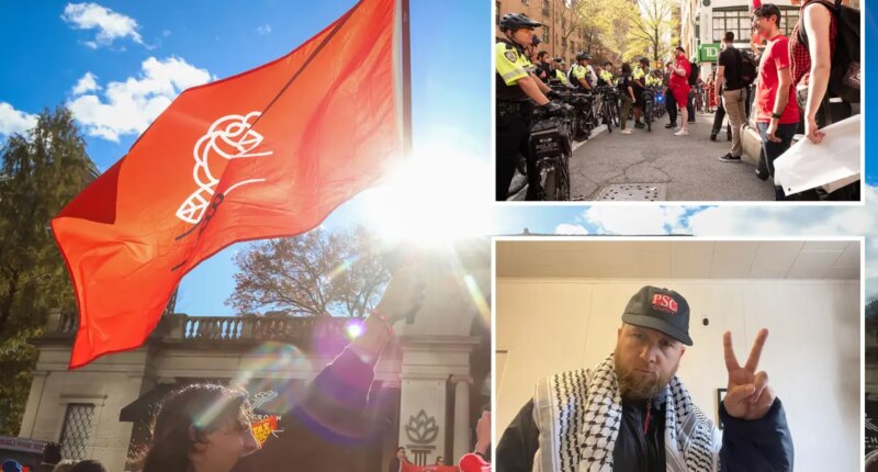Taxpayer-funded CUNY professor trains DSA members to skirt the law, lie to cops