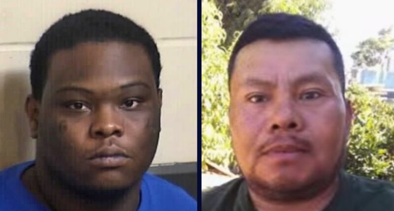 Teen shoots food vendor dead while pretending to be customer