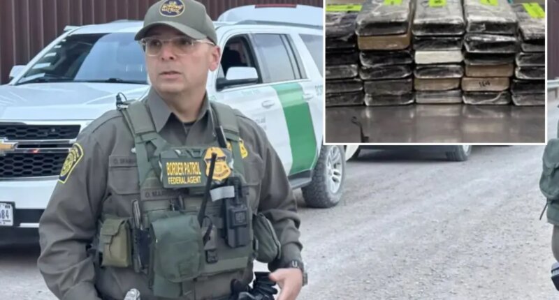 Texas border officers seize $10.8M worth of cocaine hidden in cabbage shipment