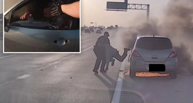 Texas cop saves driver from burning car moments before it goes up in flames: video