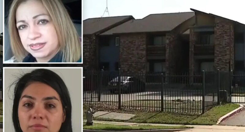 Texas realtor Mayra Velasquez arrested for 2012 murder of Irasema Chavez, stabbed 100 times, after DNA cold case breakthrough