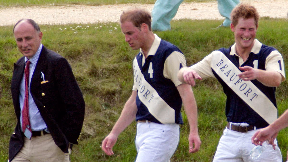 The man who could reconcile Britain's warring Princes: Royal expert reveals why an ex-SAS soldier could 'undoubtedly' reunite William and Harry
