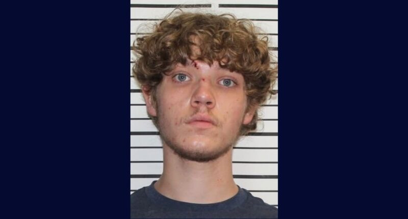 'To kill the baby': Man shoots pregnant girlfriend, cops say