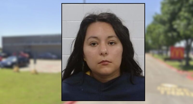 Toddler died in hot car while mom went to work for 2 hours