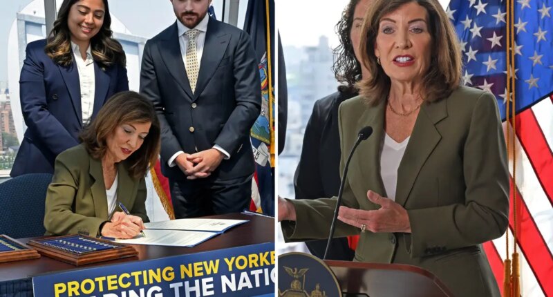 Top NYC business group opposes Gov. Hochul's one-year data center ban
