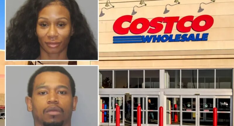 Two New Yorkers arrested at Costco after alleged fraudulent credit card shopping spree