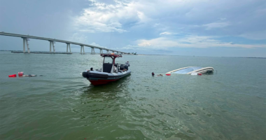 US Coast Guard saves 8, including infant and child, after vessel capsizes off Fort Myers Beach