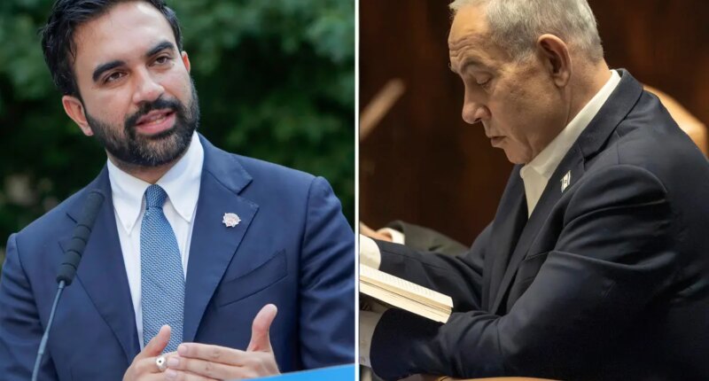 US ambassador to UN slaps down Zohran Mamdani’s threat to have Benjamin Netanyahu arrested