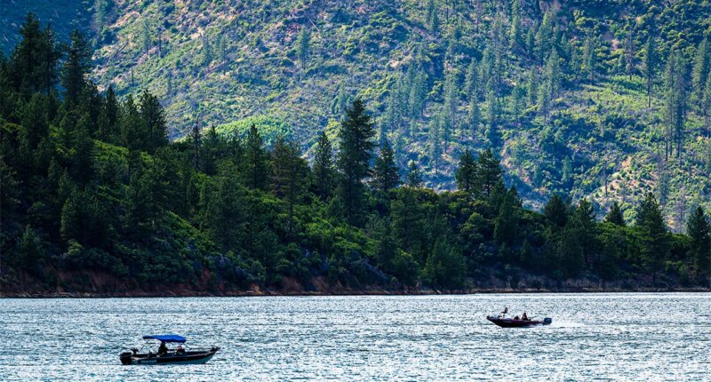 US forest service workers kidnapped, ziptied for hours by father-son duo: California AG