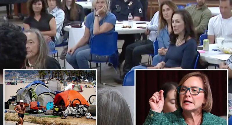 Venice Beach crime spike sparks heated community meeting