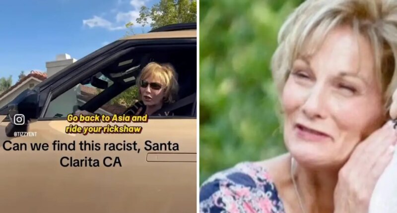 Video shows Santa Clarita woman go on racist rant to neighbor
