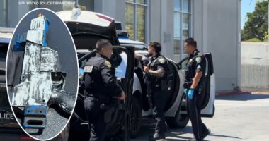 Waymo calls San Mateo, California police on teens for drinking, shooting toy guns from driverless vehicle