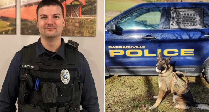 West Virginia town's entire police force fired after ex-sergeant claims evidence room was broken into