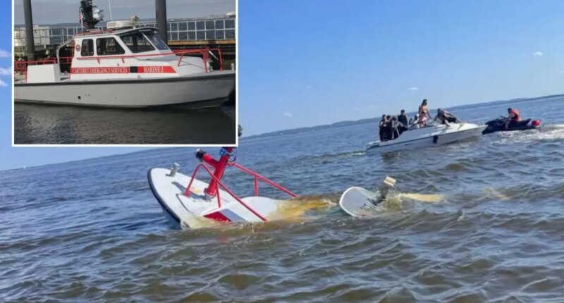 Whale strikes, sinks NJ fire rescue ship returning from NY Harbor after July 4th festivities