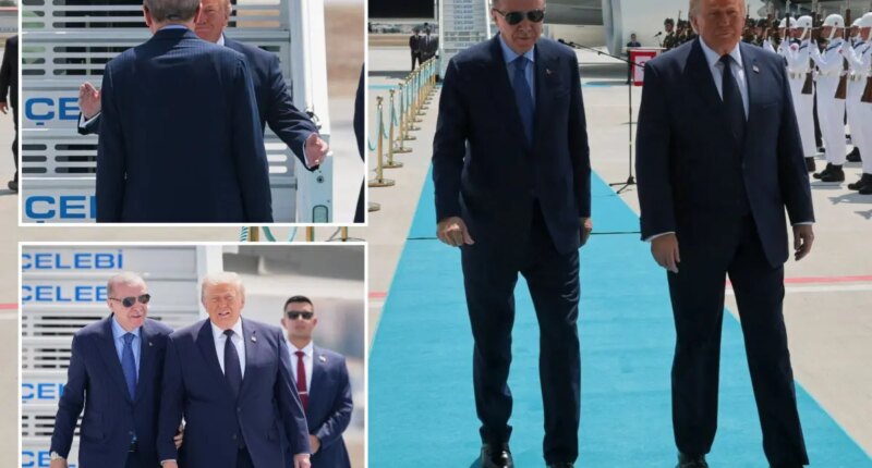 Why Trump's hand movements bode well for Turkey's big asks at NATO summit: Body language expert