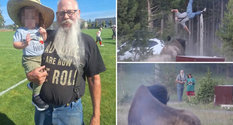 Yellowstone visitor flung into the air by bison identified as grandfather