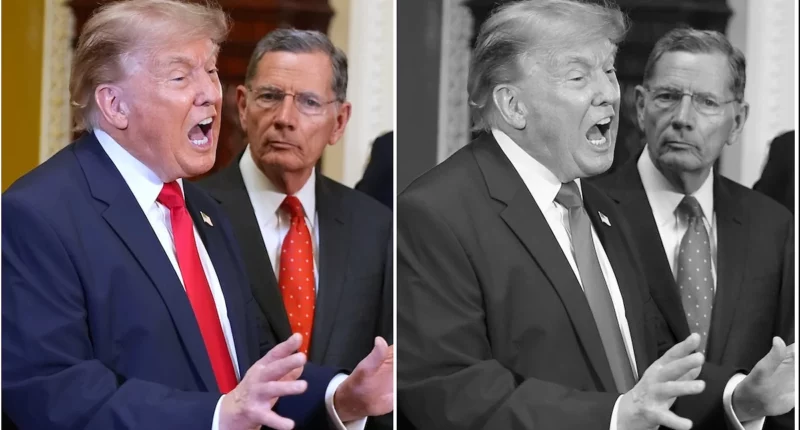 Appeals Court Rejects Trump Bid to Revive Election Order - Internewscast Journal
