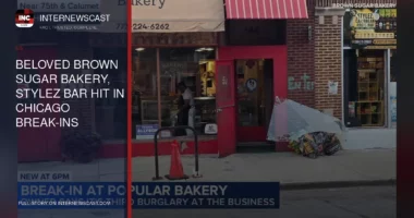 Beloved Brown Sugar Bakery, Stylez Bar Hit in Chicago Break-Ins - Internewscast Journal