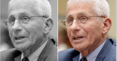 Fauci Faces Renewed Senate GOP Scrutiny Over COVID-19 Pandemic Origins - Internewscast Journal