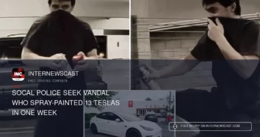 SoCal Police Seek Vandal Who Spray-Painted 13 Teslas in One Week - Internewscast Journal