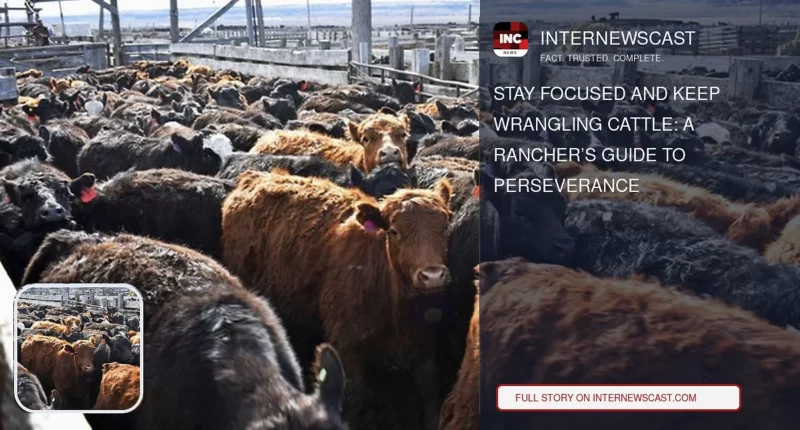 Stay Focused and Keep Wrangling Cattle: A Rancher’s Guide to Perseverance - Internewscast Journal