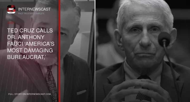 Ted Cruz Calls Dr. Anthony Fauci ‘America’s Most Damaging Bureaucrat,’ Says He ‘Should Go to Jail’ - Internewscast Journal