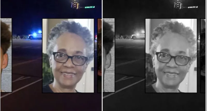 Teen Driving BMW Over 100 MPH Killed Mother and Daughter, Injured 12-Year-Old in Crash - Internewscast Journal