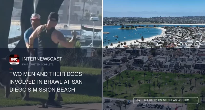 Two Men and Their Dogs Involved in Brawl at San Diego’s Mission Beach - Internewscast Journal