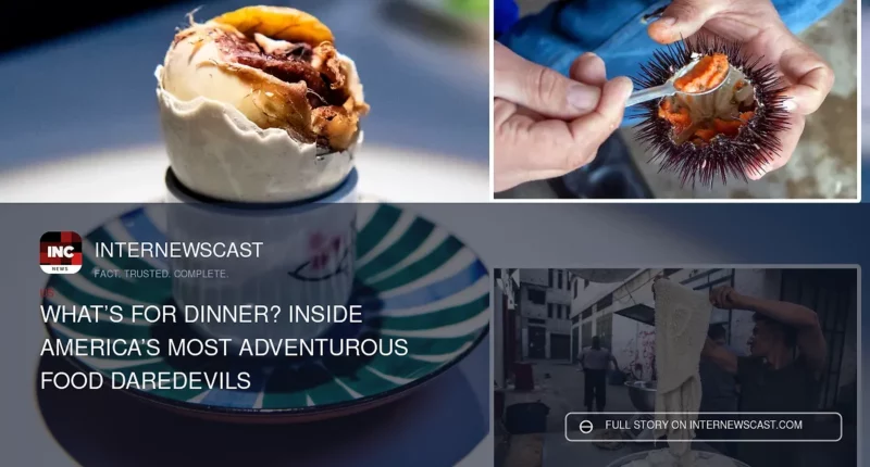 What’s for Dinner? Inside America’s Most Adventurous Food Daredevils - Internewscast Journal
