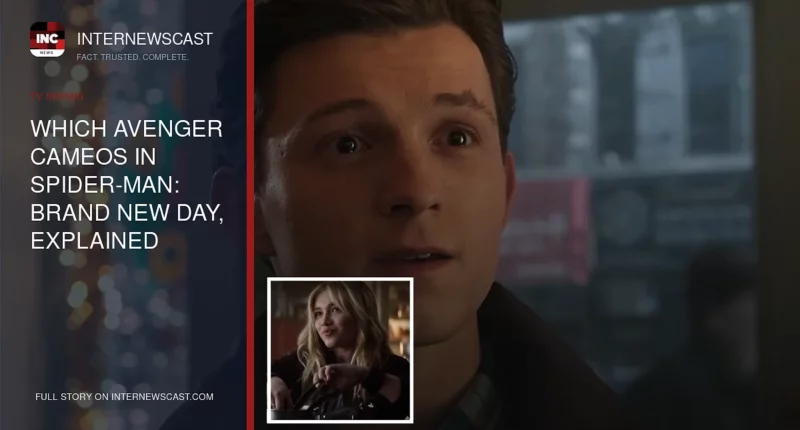 Which Avenger Cameos in Spider-Man: Brand New Day, Explained - Internewscast Journal