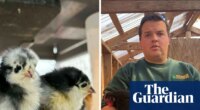 ‘The silence was the worst part’: after culling his entire flock, US poultry farmer now fears bird flu
