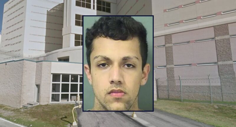 Saam Rajaei appears in a booking photo inset against an image of the Palm Beach County Jail.