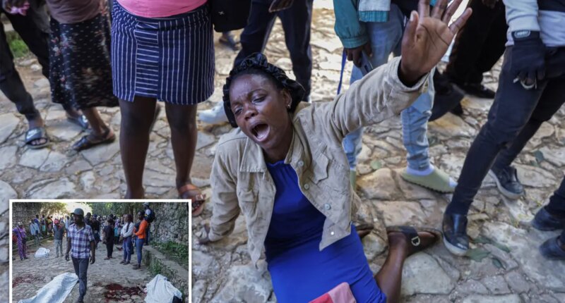 13 hostages, including 6 children, freed control Haitian gang following murder spree, mass abduction