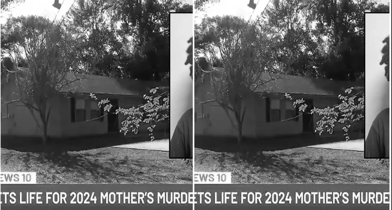 14-Year-Old Kills Mom Instead of Attacking Former School - Internewscast Journal
