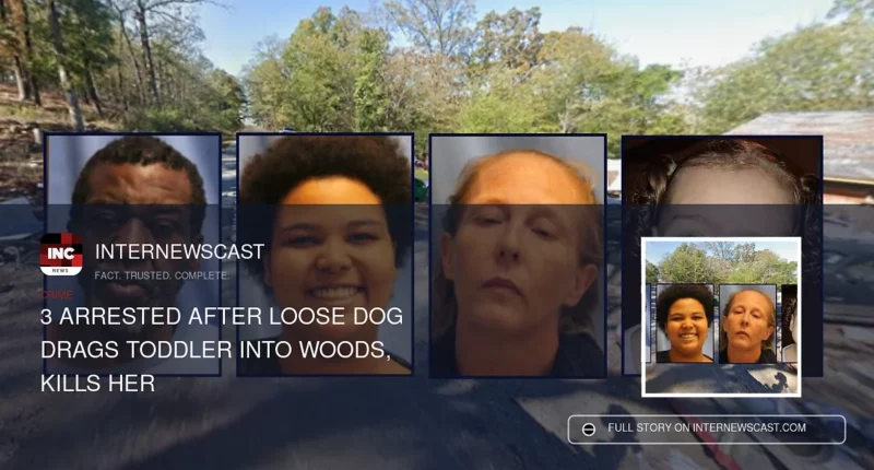 3 Arrested After Loose Dog Drags Toddler Into Woods, Kills Her - Internewscast Journal
