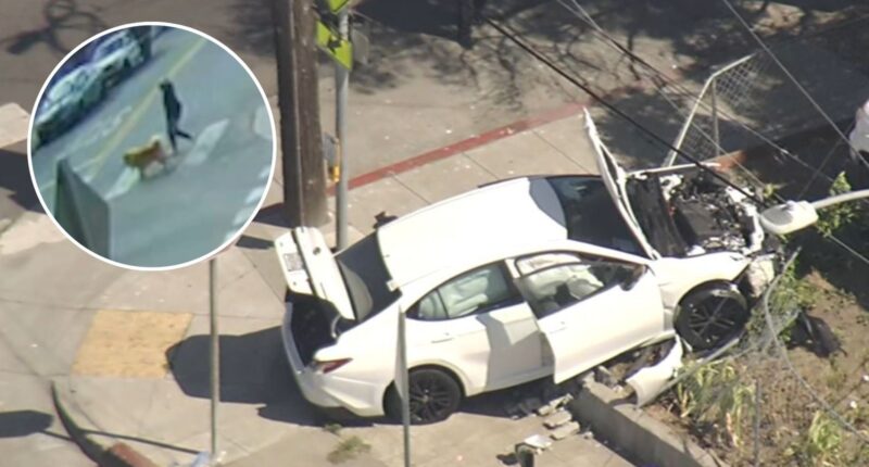 7, 4-year-old brothers take parents' car, critically injure woman walking dog in Oakland, California crash: Police