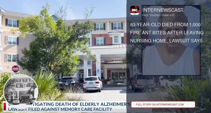 83-Year-Old Died From 1,000 Fire Ant Bites After Leaving Nursing Home, Lawsuit Says - Internewscast Journal